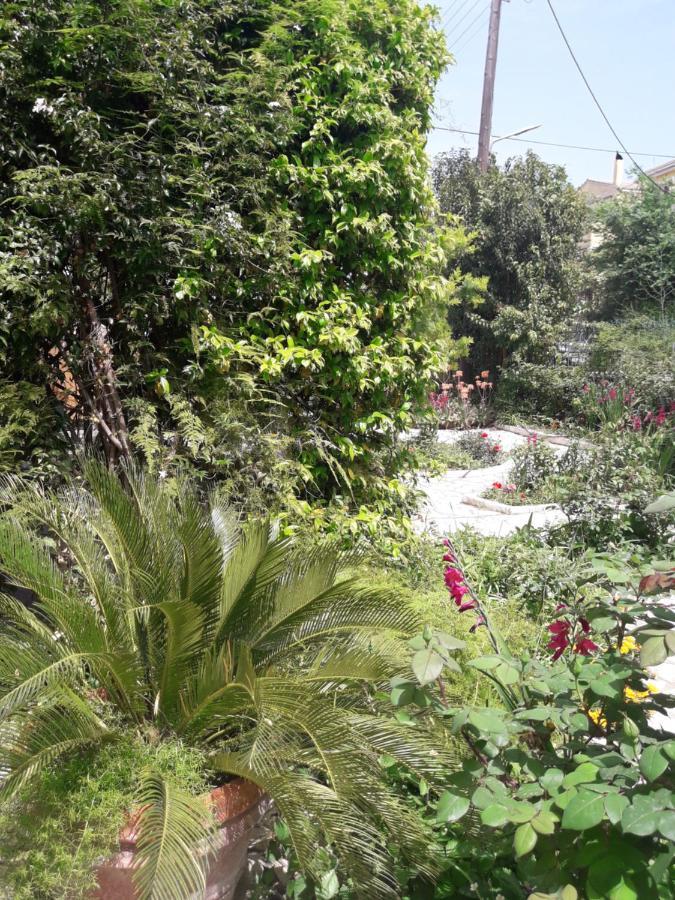 Garden House In Corfu Villa Corfu  Eksteriør bilde
